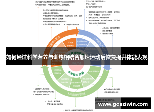 如何通过科学营养与训练相结合加速运动后恢复提升体能表现
